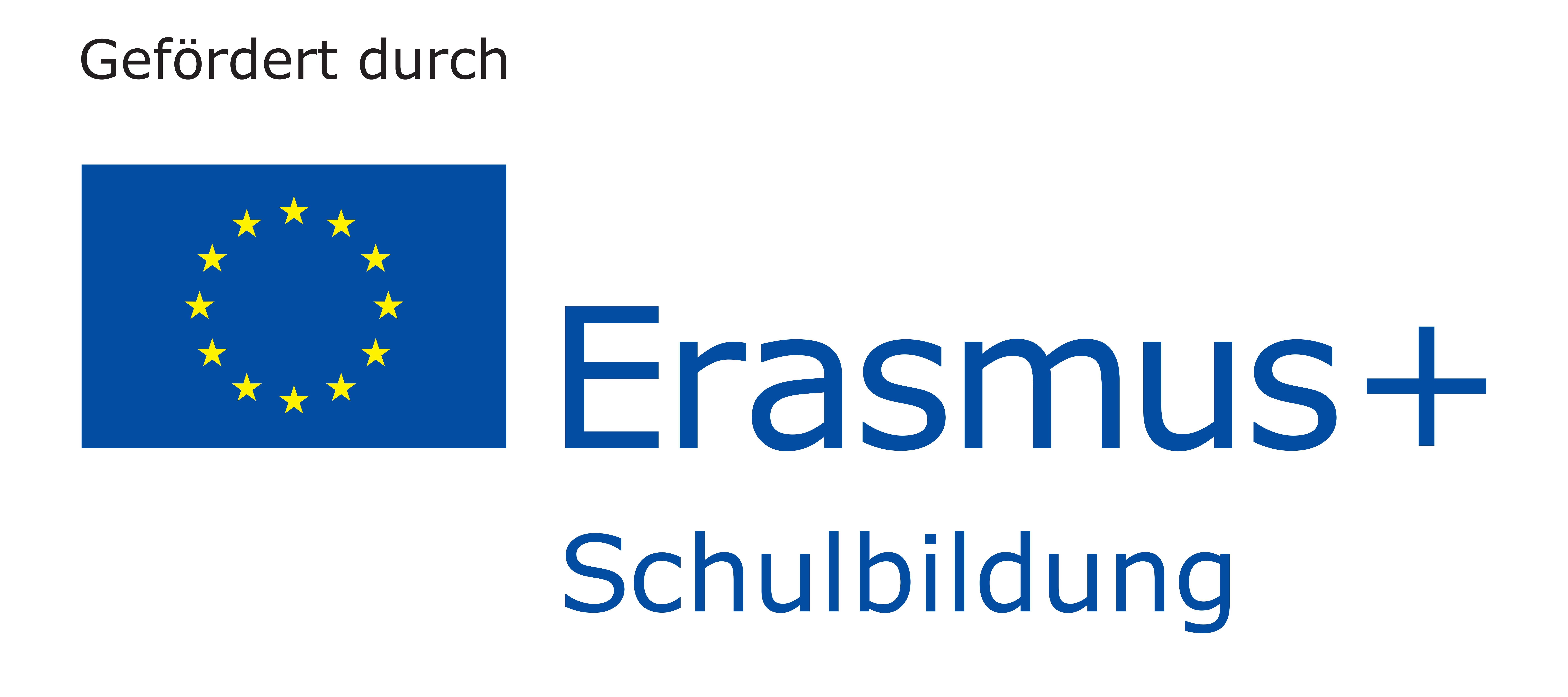 erasmus1